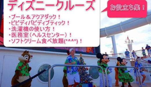 18ディズニークルーズ ファンタジー号 の記事一覧 ママお医者さんの旅行大好き大冒険